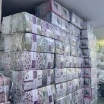 Desenli Nevresim Takımı - 5