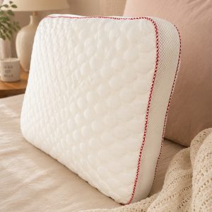 Boxed Collagen Beauty Visco Pillow