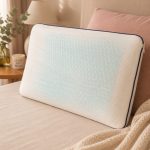 Boxed Jel Cool Touch Visco Pillow - 5